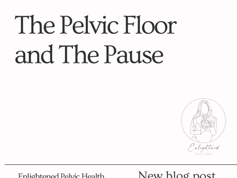 The Pelvic Floor + The Pause